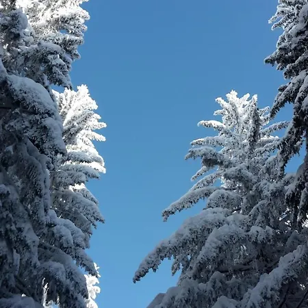 Vysokohorsky Cihlarka 派克波特斯耐兹库
