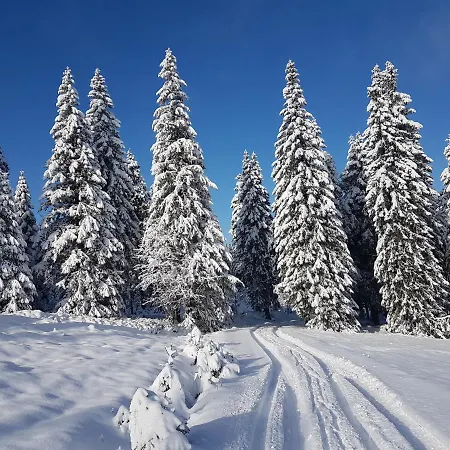 Vysokohorsky Cihlarka *