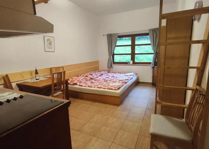 Apartmán Cihlářka 107,204 *