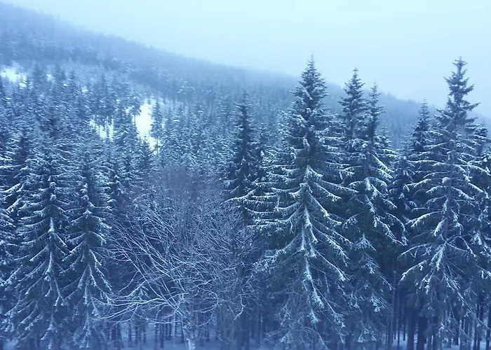 Apartmán Cihlářka 107,204 *