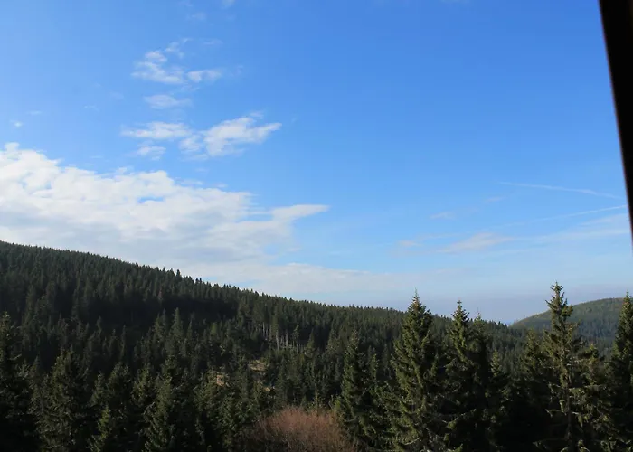 Cihlářka 107,204 *