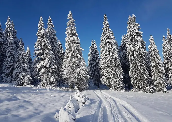 Cihlářka 107,204 *